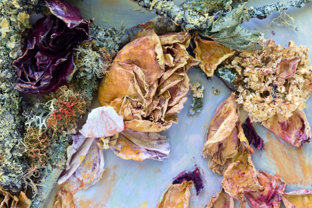 Photo of dried flower, vegetables in an artistic arrangement